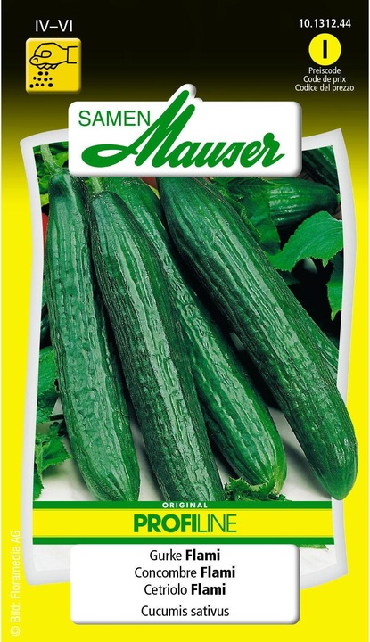 Cucumber Flami Profiline (Vegetable seeds)