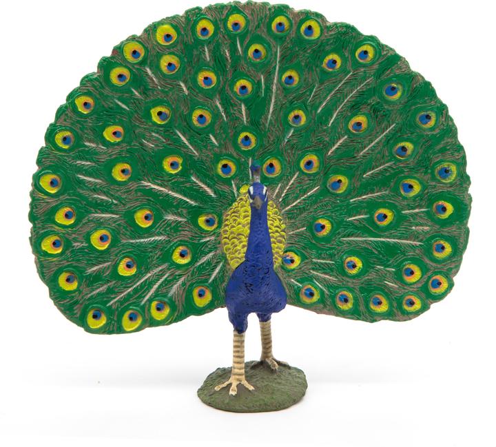 Papo Pfau