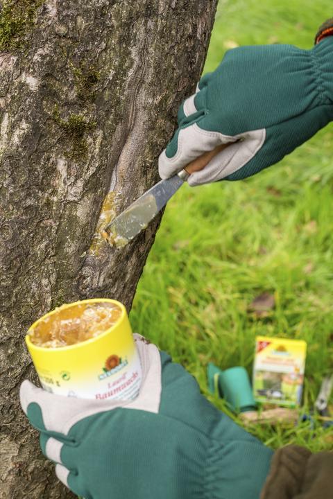 Produktbild Neudorff Lauril Baumwachs