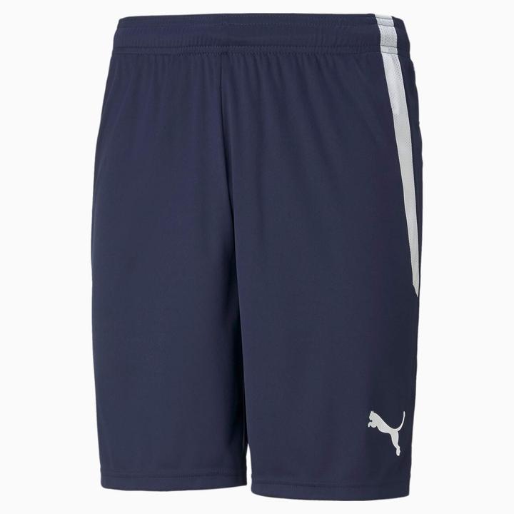 Image du produit Puma Short teamLIGA-704924 (S)