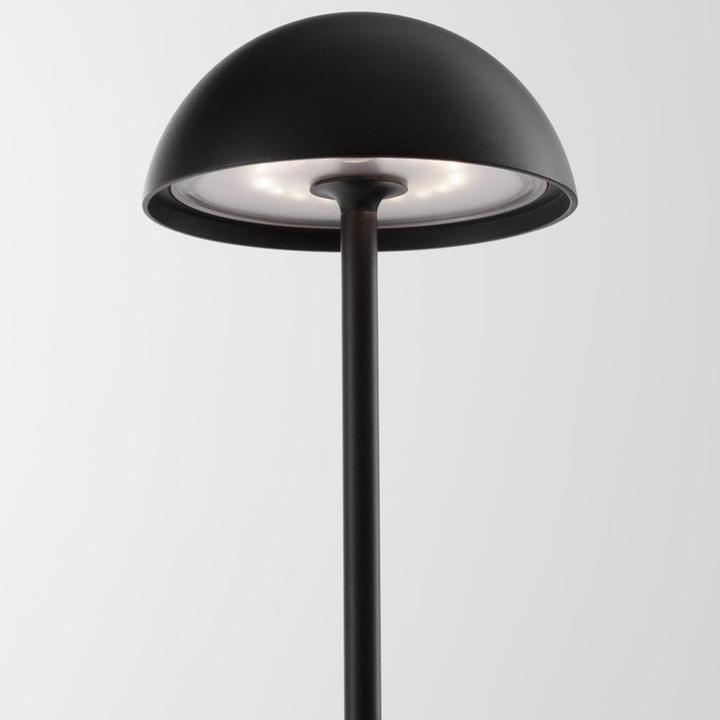 Actual product image Nova Luce Rose (207 lm)