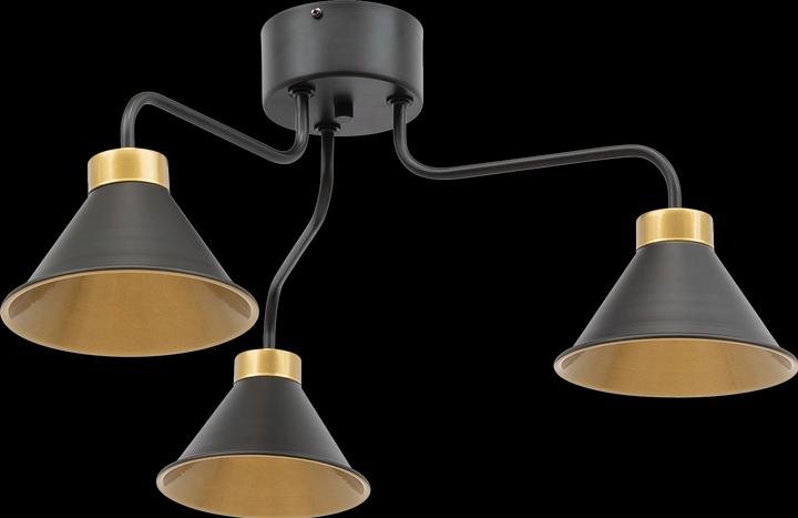 Productafbeelding ELTAP Detmer