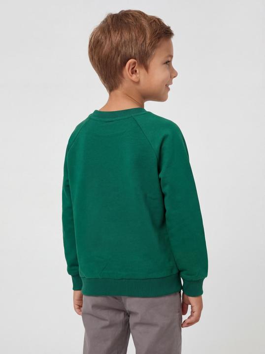 Produktbild TupTam Sweatshirt Bio-Baumwolle (152)