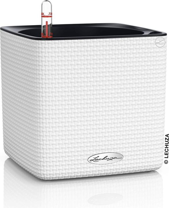 Actual product image Lechuza Cube Color (17 cm)