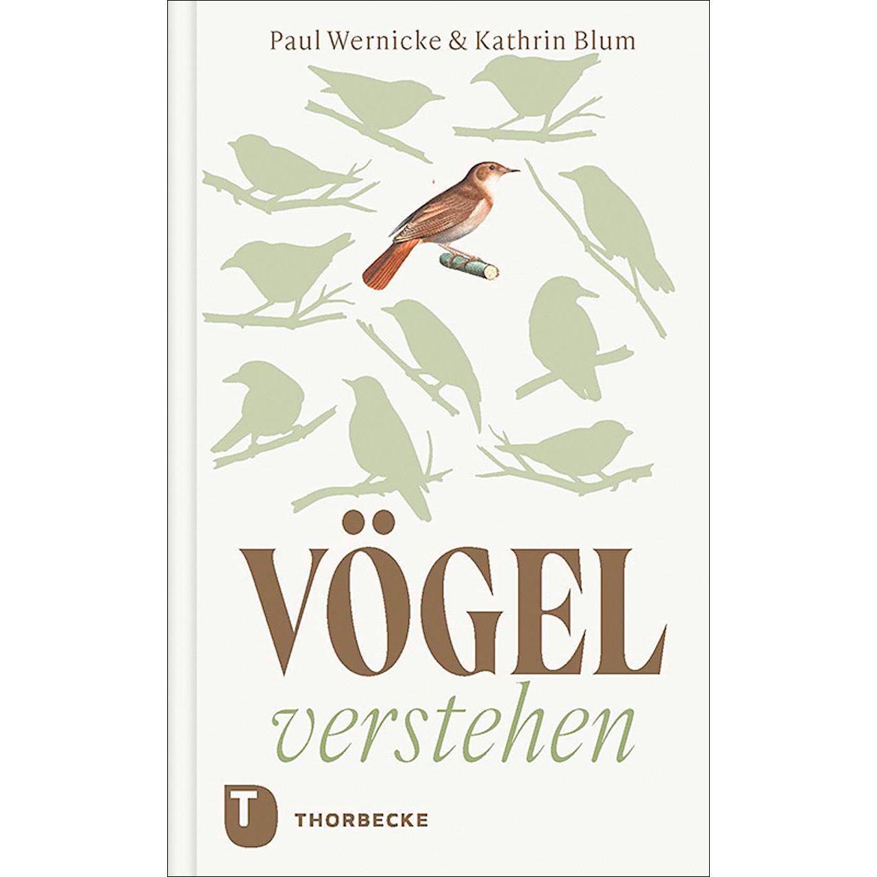 Vögel verstehen, Ratgeber von Paul Wernicke, Kathrin Blum