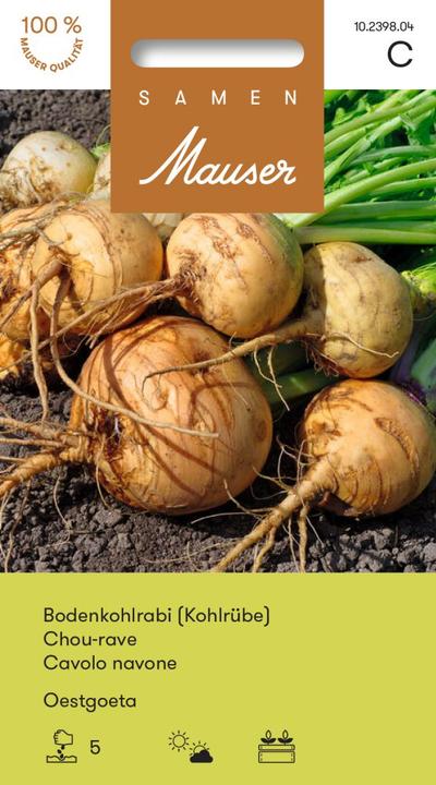 Image du produit Samen Mauser Chou-rave au sol Chou-rave Oestgoeta (Graines de légumes)