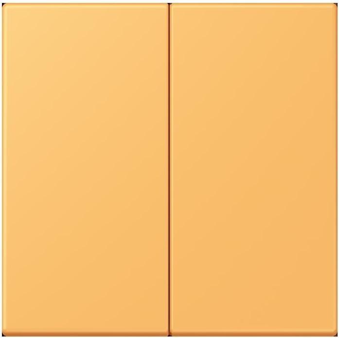 Produktbild JUNG Steuertaste