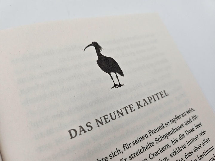 Produktbild Ein Vogel namens Schopenhauer (Deutsch, Tom Diesbrock, 2024)
