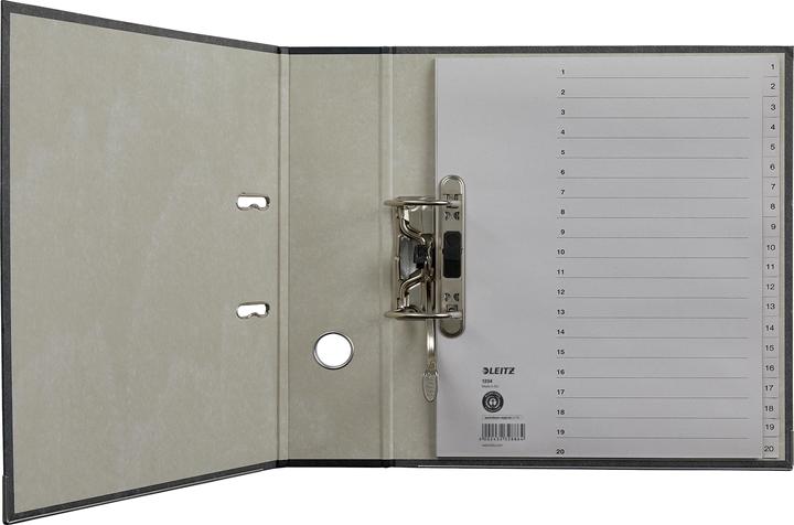 Actual product image Leitz Register Papier