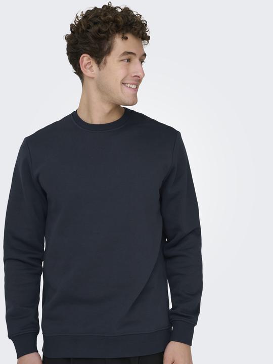 Produktbild Only & Sons Onsconnor Reg Crew Neck Sweat Noos (M)