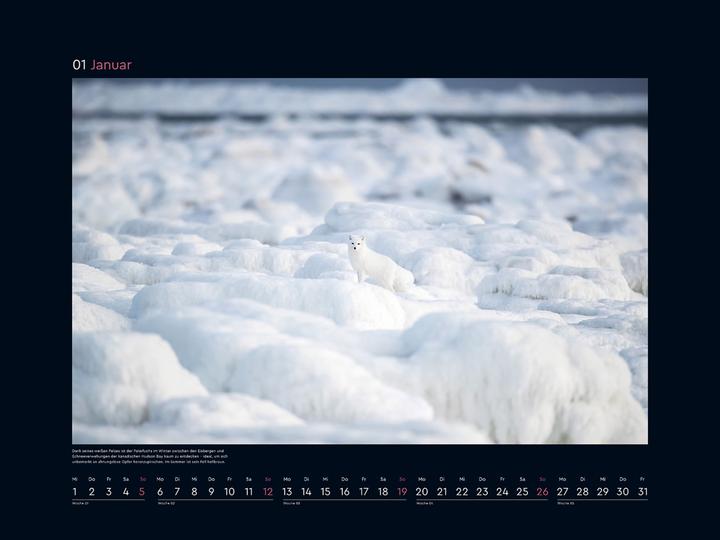 Produktbild Getarnt - Wandkalender 2025 (Harter Einband, Deutsch)