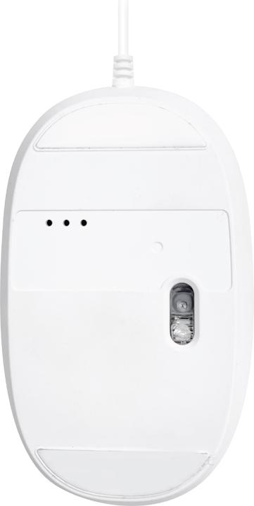 Produktbild Macally Elegante USB-C Maus (Kabelgebunden)