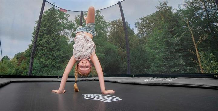 Actual product image BERG Ultim Champion Regular