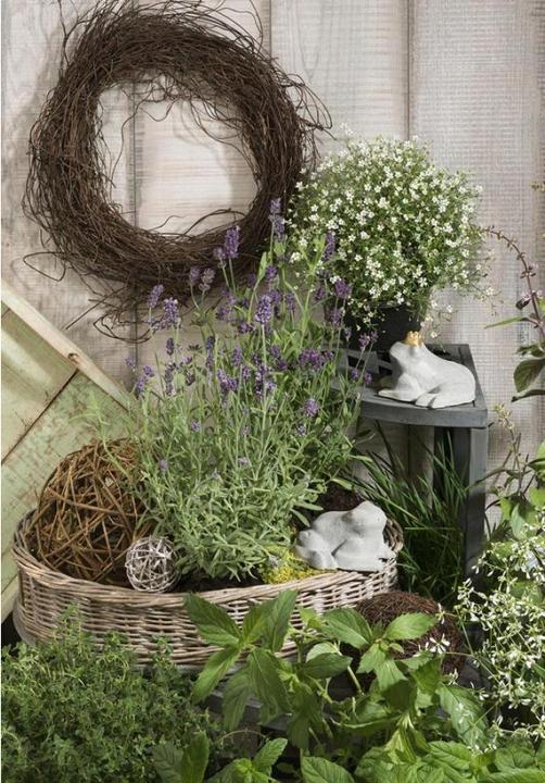 Immagine prodotto hobbytime Stampo 2 rane, piccolo LDPE, 8,5x10x5cm