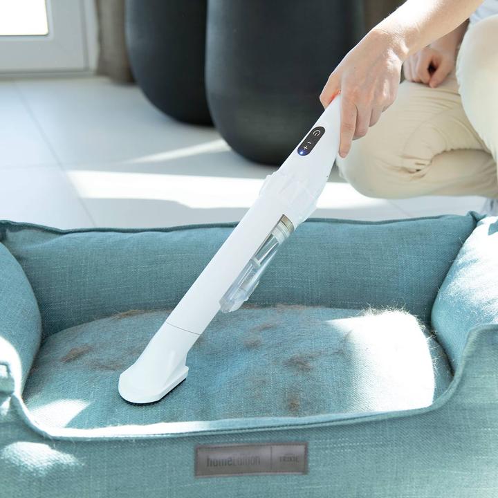 Actual product image Livington Prime Everyday