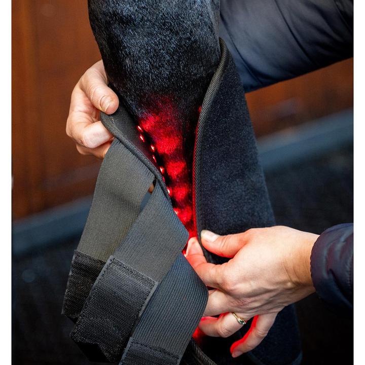 Immagine prodotto Horseware LED