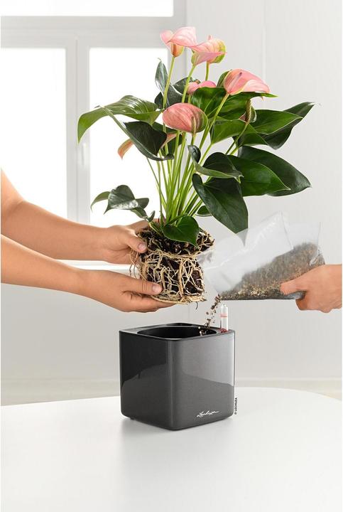 Produktbild Lechuza Cube Glossy 14 (14 x 14 x 14 cm)