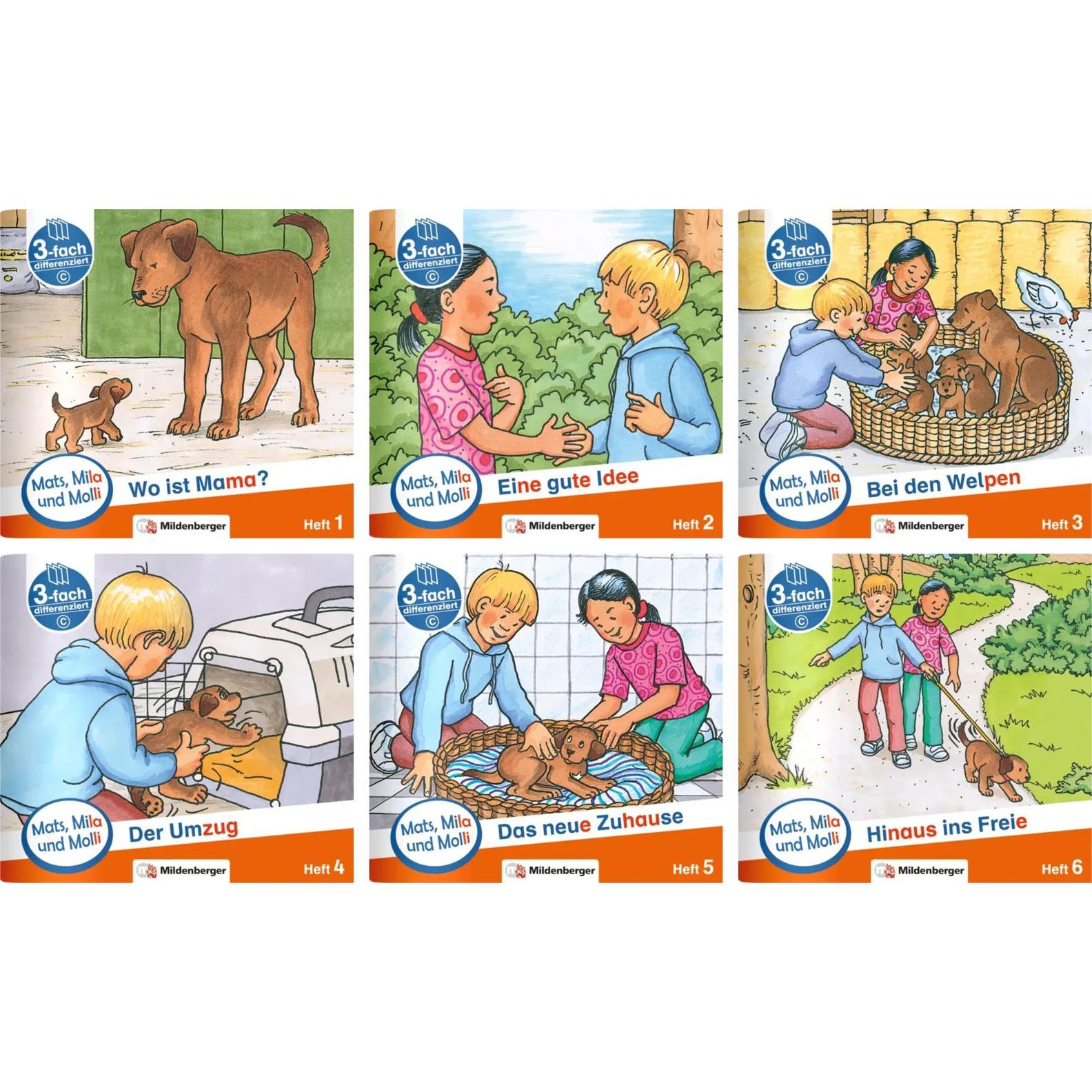 Mats, Mila und Molly - Schwierigkeitsstufe C, 6 Bde.. H.1-6, Schulbücher von Helge Weinrebe