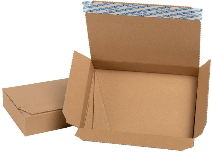Brieger Carton d'expédition 240 x 165 x 41 mm, brun (25 x)