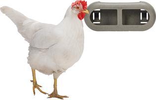 Actual product image Beeztees Chicken Feeder, Grey