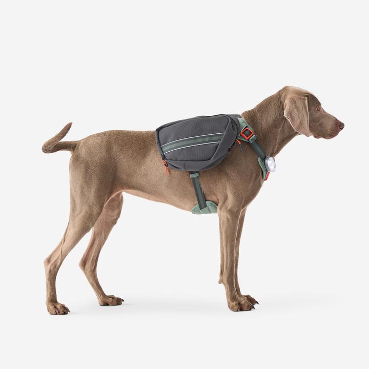 Produktbild Caperlan Hundegeschirr Wandern (S, Hund)