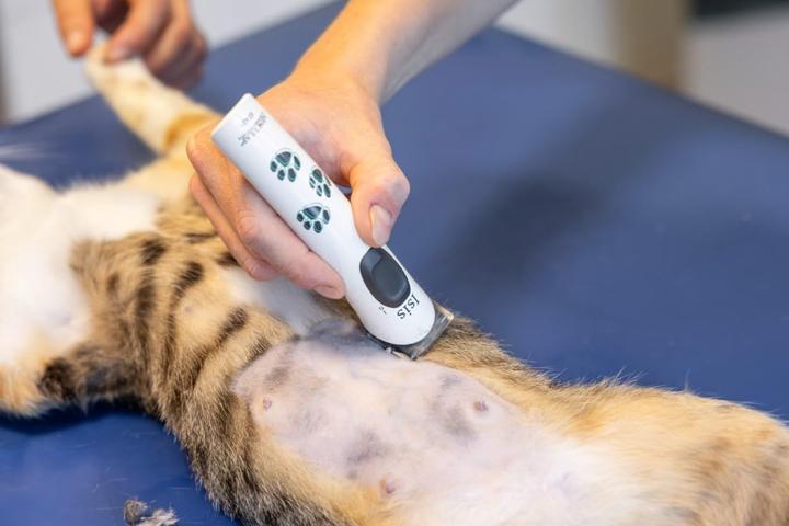 Produktbild Aesculap Isis (Hund)