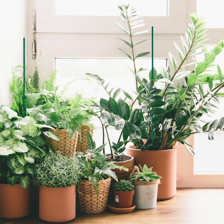 Image du produit Relaxdays 6x sacs sous vide