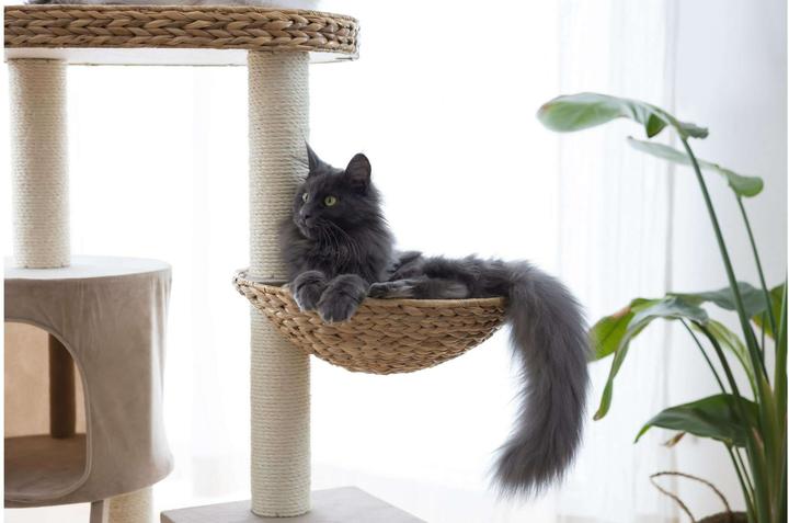 Produktbild Kerbl Waxy (104 cm, Beige)