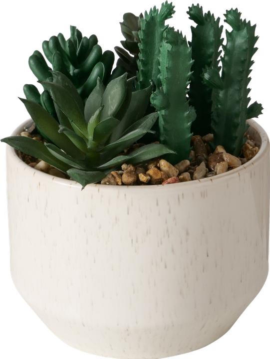 Image du produit Boltze Home Succulentes (12.50 cm)