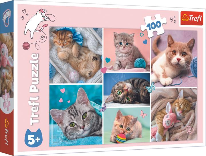 Actual product image Trefl Puzzle Cat World (100 pieces)