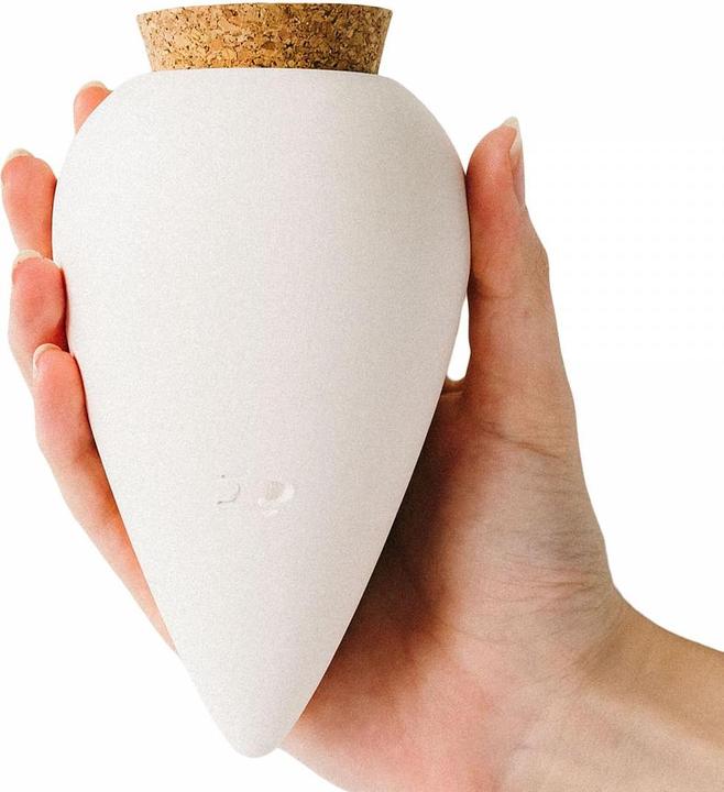 Immagine prodotto Pepin Olla Selbstbewässerungssystem (Palline per l'irrigazione)