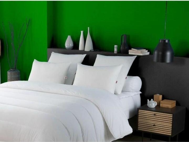 Productafbeelding Dodo Kissen 50 x 70 cm Anti-Staubmilben (50 x 70 cm)