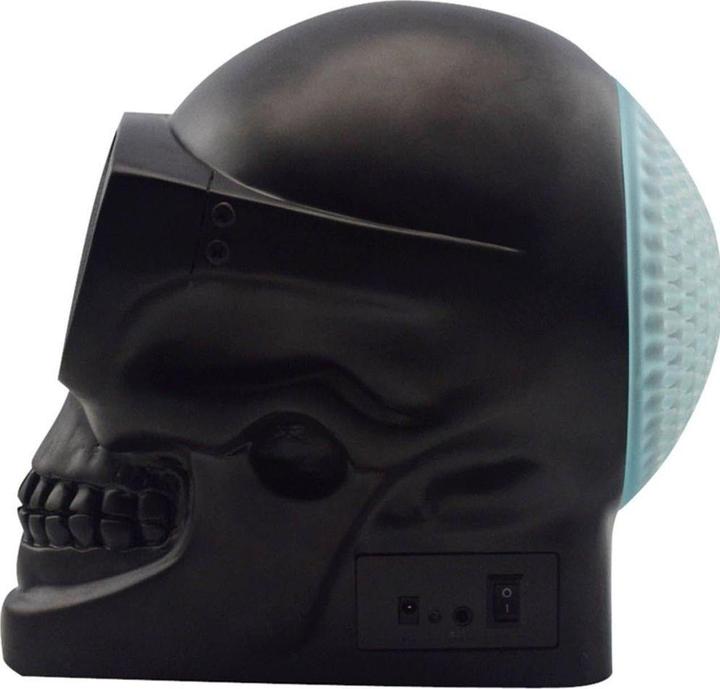 Actual product image YZSY Skully