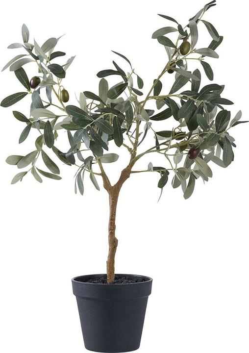 House Nordic Olive (61 cm)
