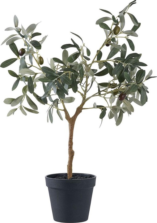House Nordic Olive (61 cm)