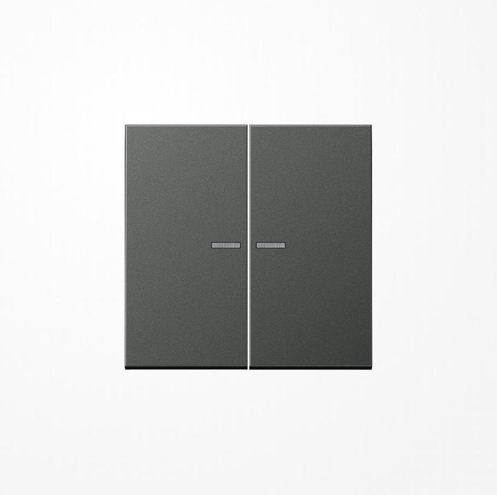 Actual product image JUNG Rocker 2t switch LS anth mt light outlet AL2995KO5AN