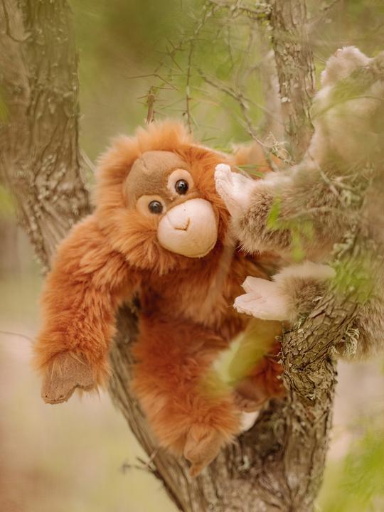 Actual product image WWF Orangutan (23 cm)