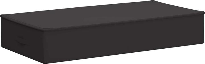 Actual product image vidaXL Aufbewahrungsbox (48 cm, 2x)