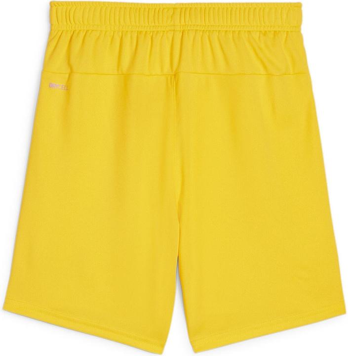 Image du produit Puma teamGOAL Short Jr (152)