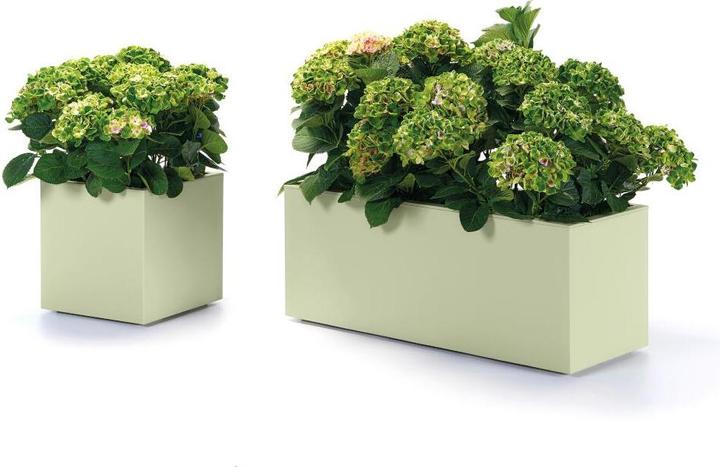 Produktbild Euro3plast Pflanzkübel Kebe 40 x 40 cm oasi Greener, mit Rollen und Bewässerung (39.50 cm)