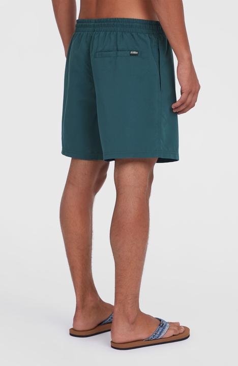 Actual product image O'Neill CALI 16" SWIMSHORTS (L)