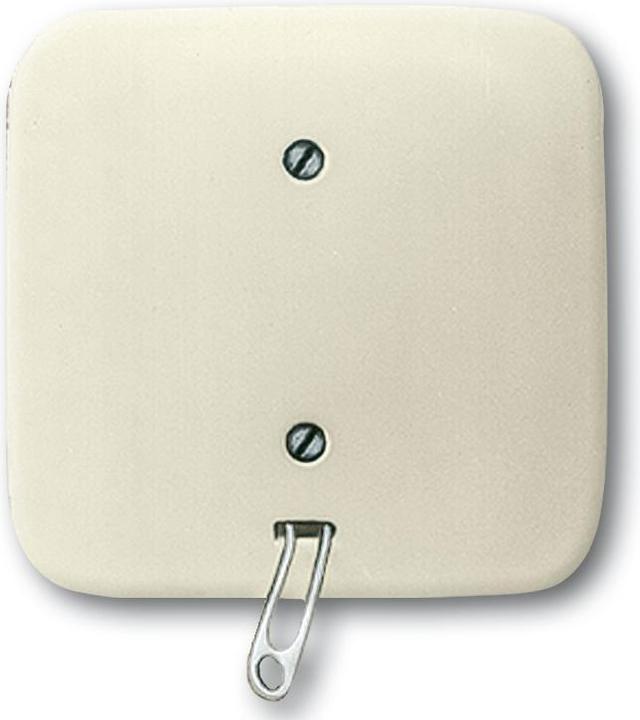 Busch-Jaeger Pull switch