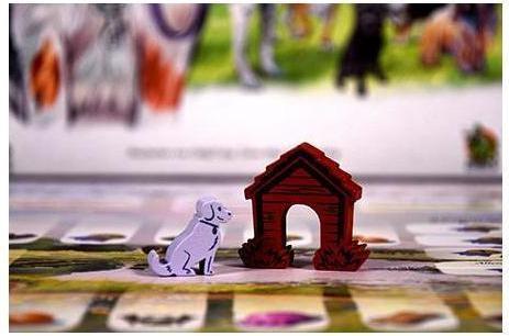 Actual product image Dog Park - One dog is never enough! (German, 1 - 4 Players)