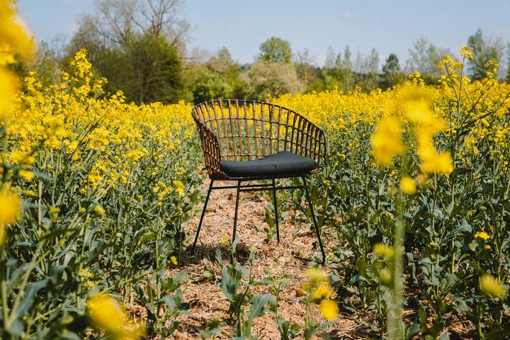 Image du produit SAM Lima