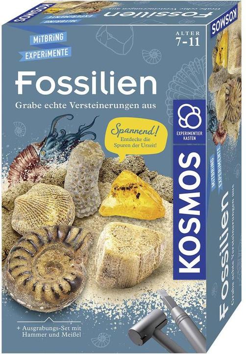 Kosmos Fossiles