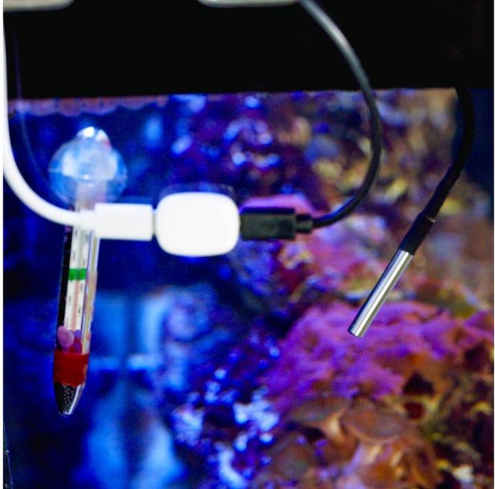 Produktbild Shelly · The Pill · Temperatursensor DS18B20 3,5 mm Jack 1m Kabel