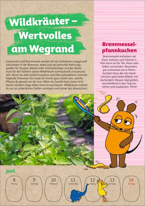Image du produit Harenberg Schütze die Erde mit der Maus Wochenkalender 2026 (Couverture rigide, Allemand)