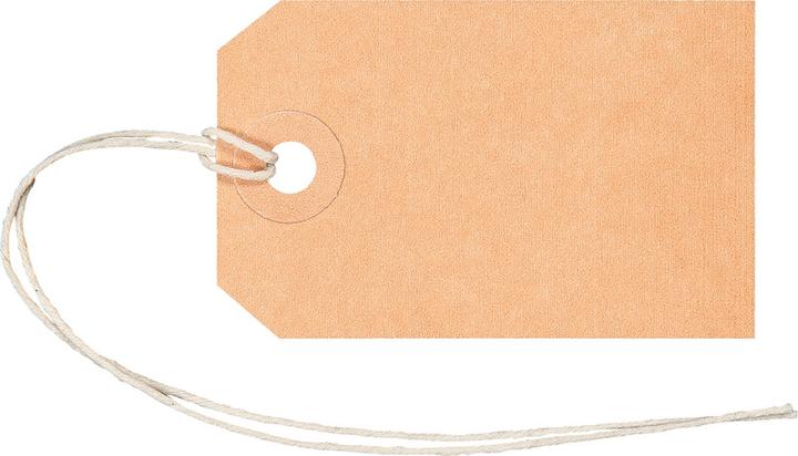 Actual product image Biella Tags and labels (50 x)