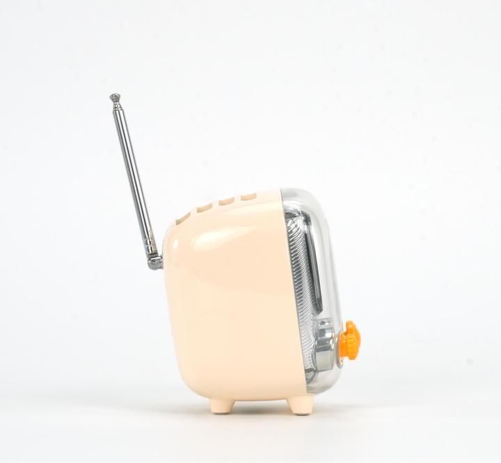Actual product image Divoom Tiivoo-2 white