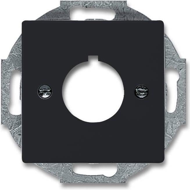 Busch-Jaeger, Zubehör Schalterprogramm, Zentralscheibe mit Tragring 2CKA001724A4254